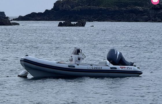 valiant v450