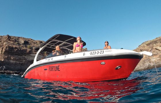 sea ray sea ray sdx 27e