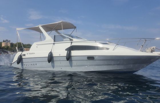 bayliner 2651