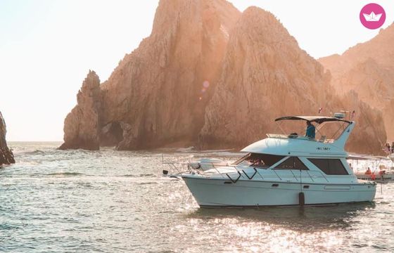 bayliner 42