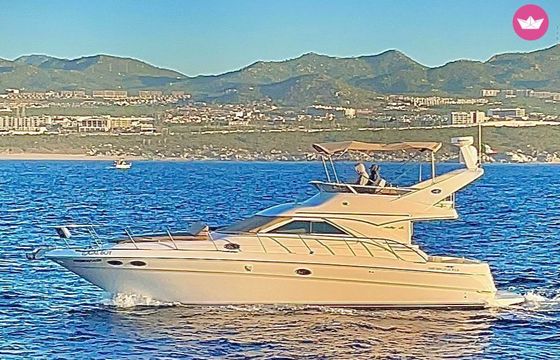 sea ray boats fly bridge