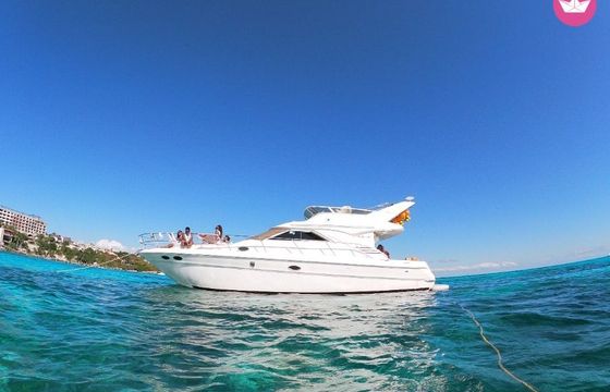sea ray 460