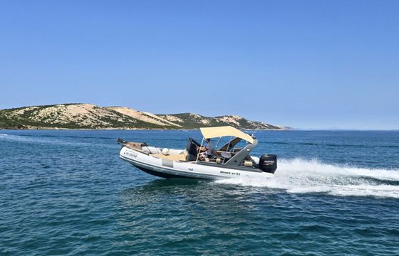 grginić jahte shark bf-23