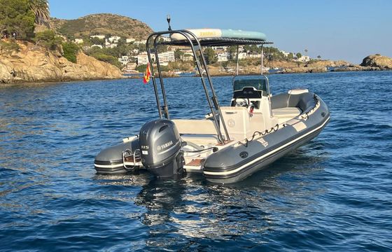 tiger marine topline 650