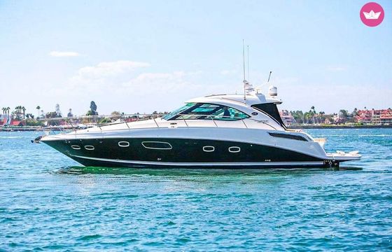 sea ray 14m