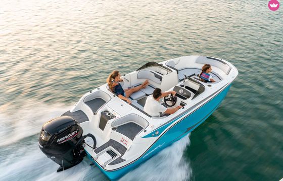 bayliner m17