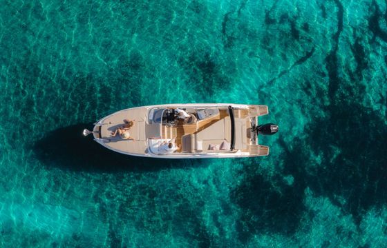 quicksilver activ 805 cruiser