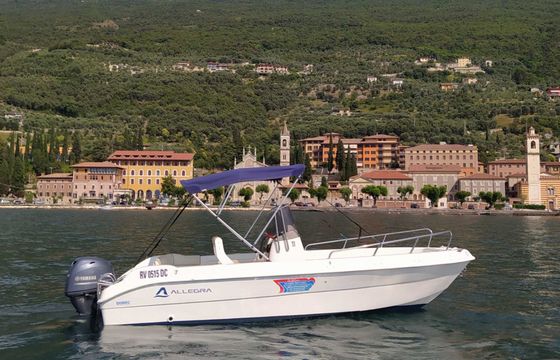 allegra allegra 5.60