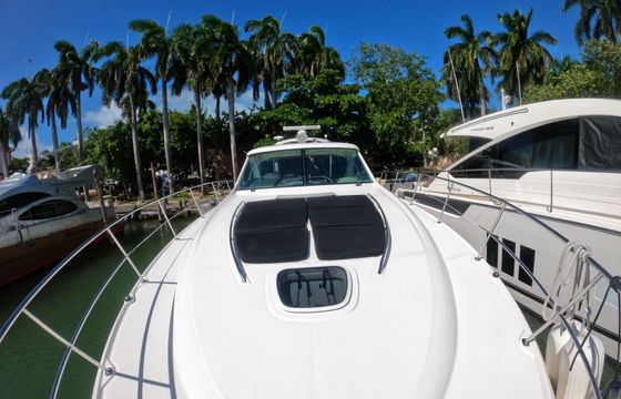 sea ray sundancer 500