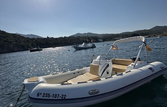 tiger marine 15 cv (ray)