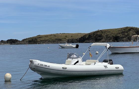 tiger 40cv (minola)