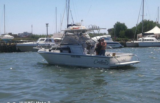 polyform triakis c29
