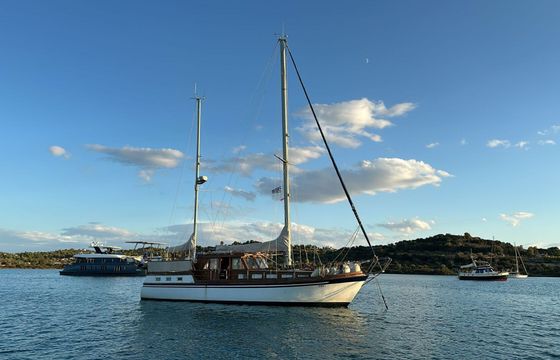seafinn 43