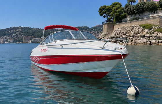 viper v203