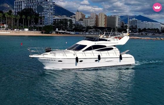 exclusivo majestic 46