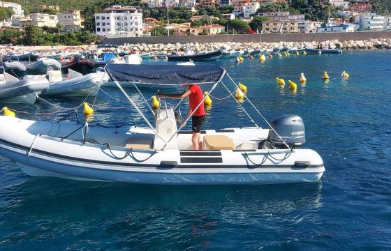 joker boat coaster 470