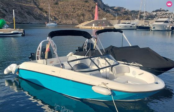 bayliner element 180 xl