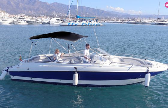bayliner 249 sun deck