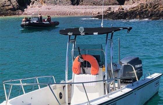 boston whaler outrage 22