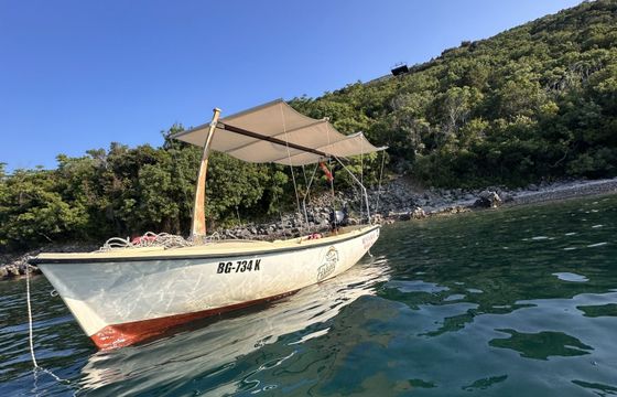 elan passara