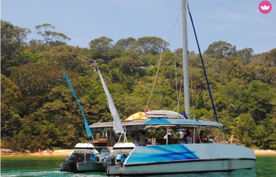 alumarine 43ft
