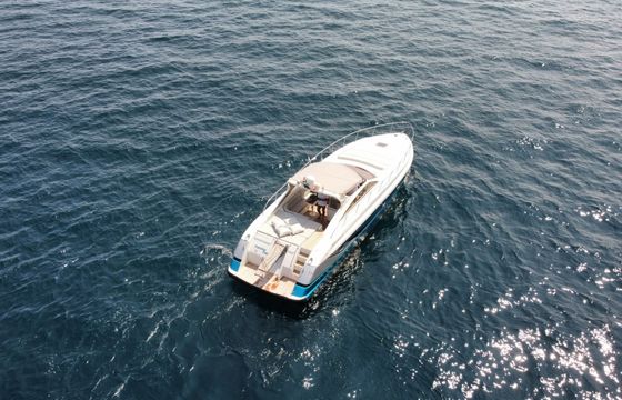 alfamarine alfamarine 47