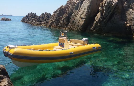 pileri service bwa 550