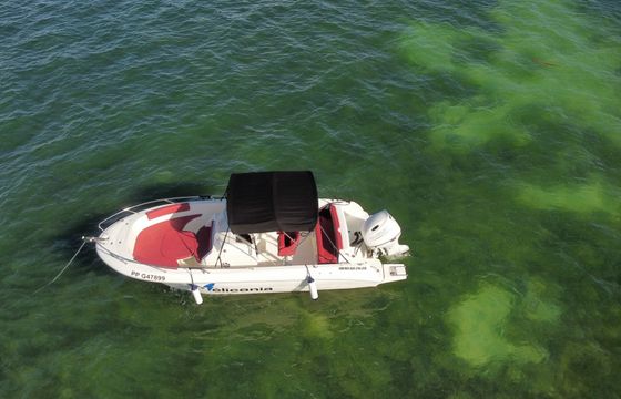pacific craft 670 open