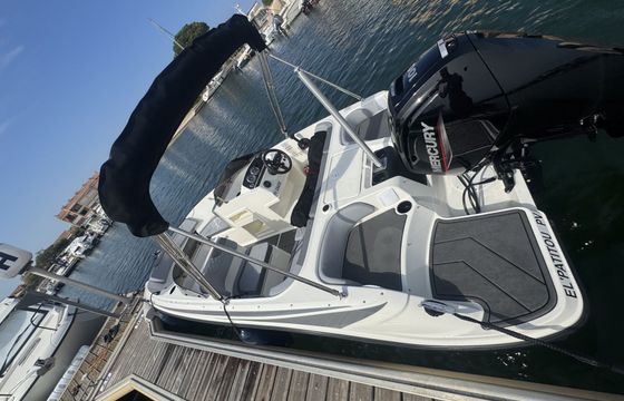 bayliner m17