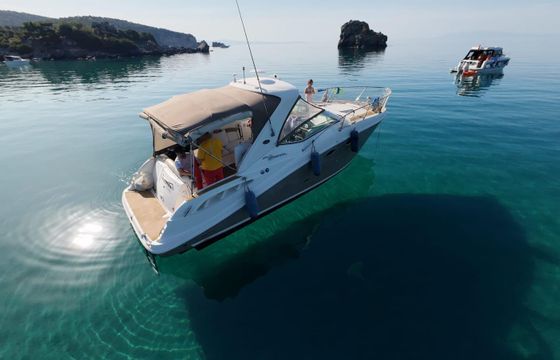 sea ray sea ray 325