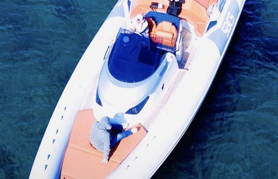 sacs marine strider 11