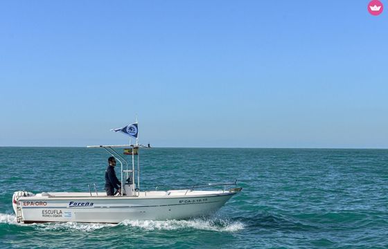 foreña dipol