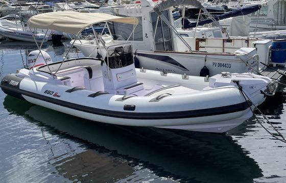 selva marine 6.5 family