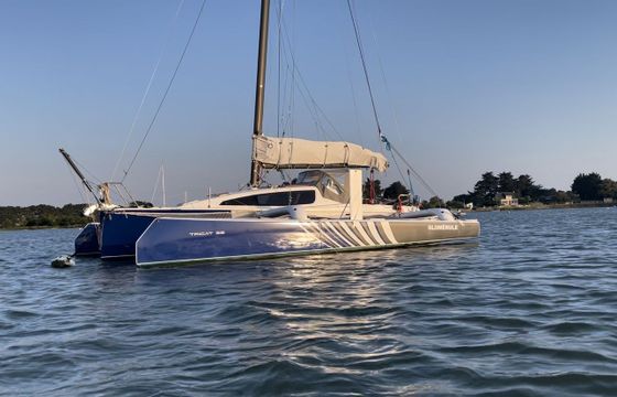 tricat tricat 30 performance