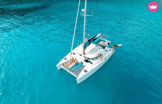lagoon avistamiento delfines catamarán privado