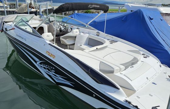 rinker 246
