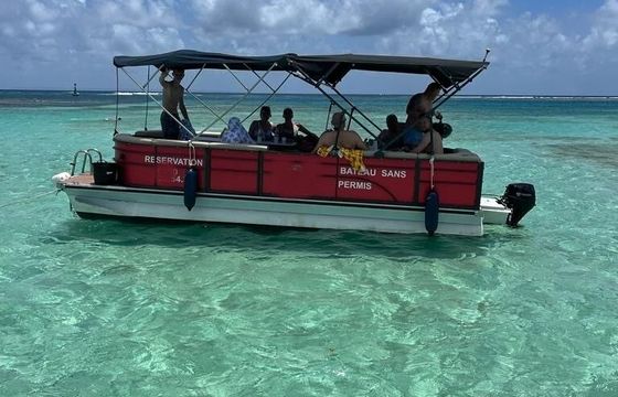 arvor trading smartliner pontoon 220