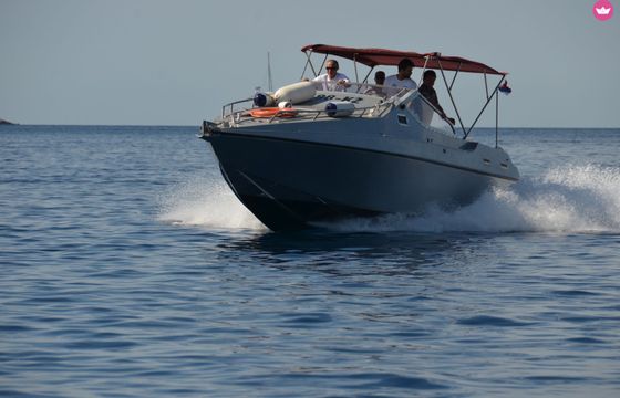 cobramarine c33