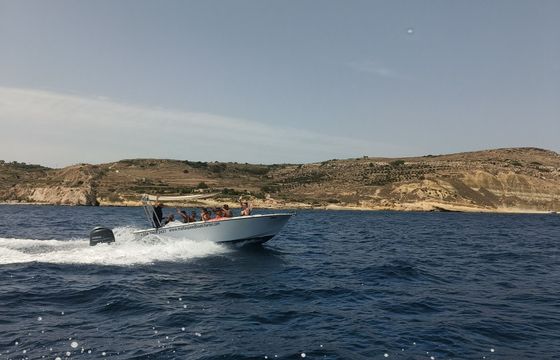 coronet 24