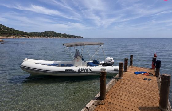 bwa 540