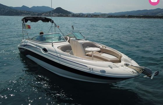 sea ray 240 sundeck