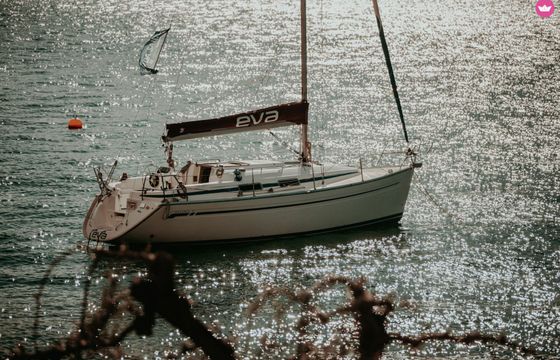 bavaria 31