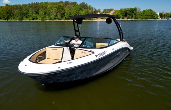 sea ray 210