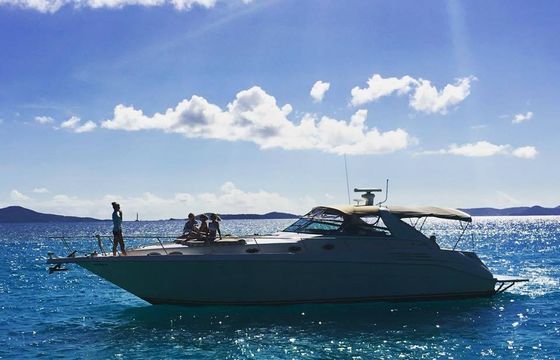 sea ray express cruiser