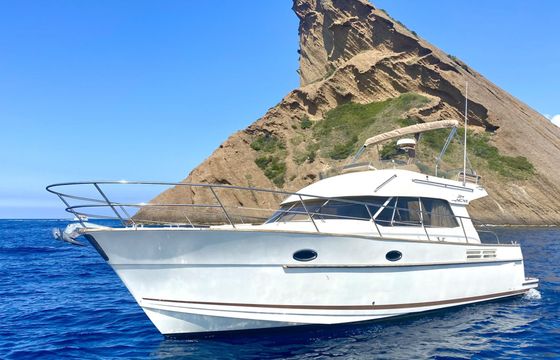acm arcoa excellence 38