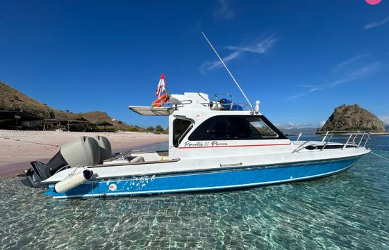 yamaha fastboat