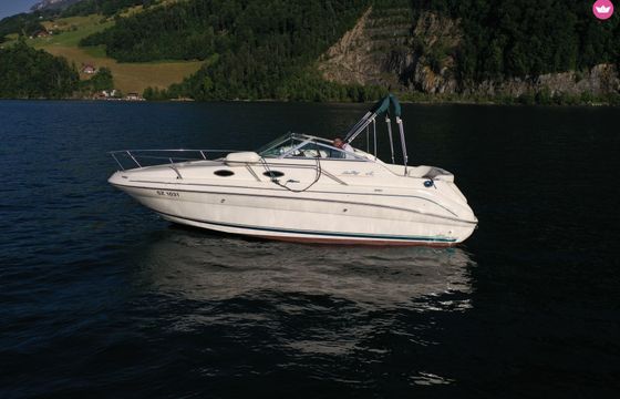 sea ray 240da