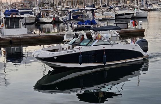 sea ray frowins
