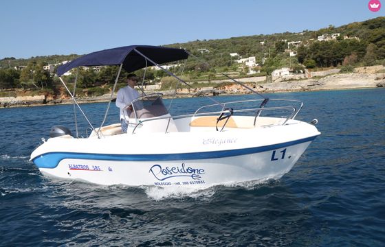 albatros albatros 585