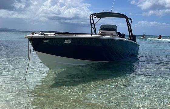 terminal boat 36 cuddy
